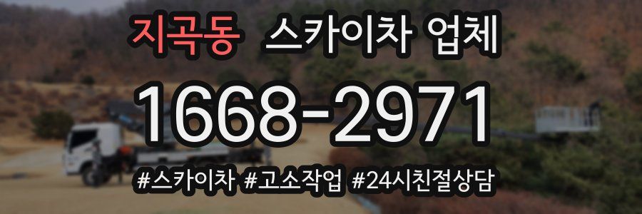 지곡동 스카이차 업체