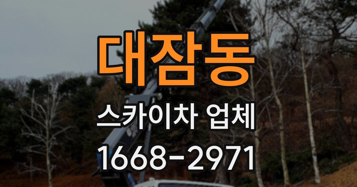 대잠동 스카이차 업체