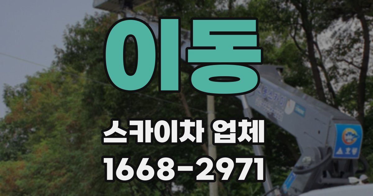 이동 스카이차 업체