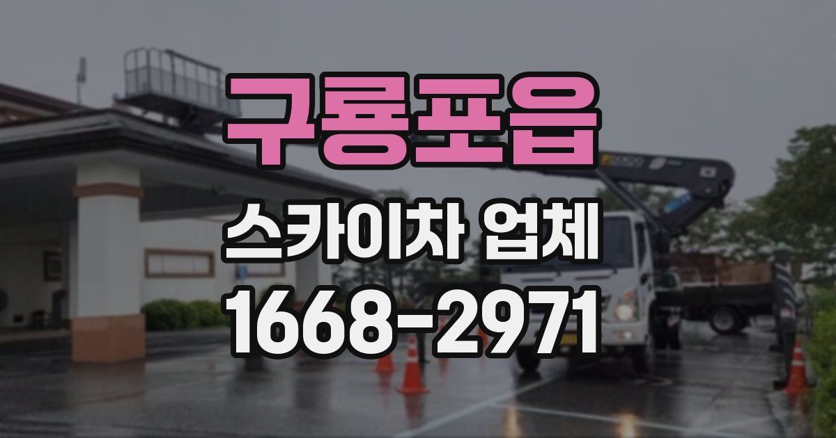 구룡포읍 스카이차 업체