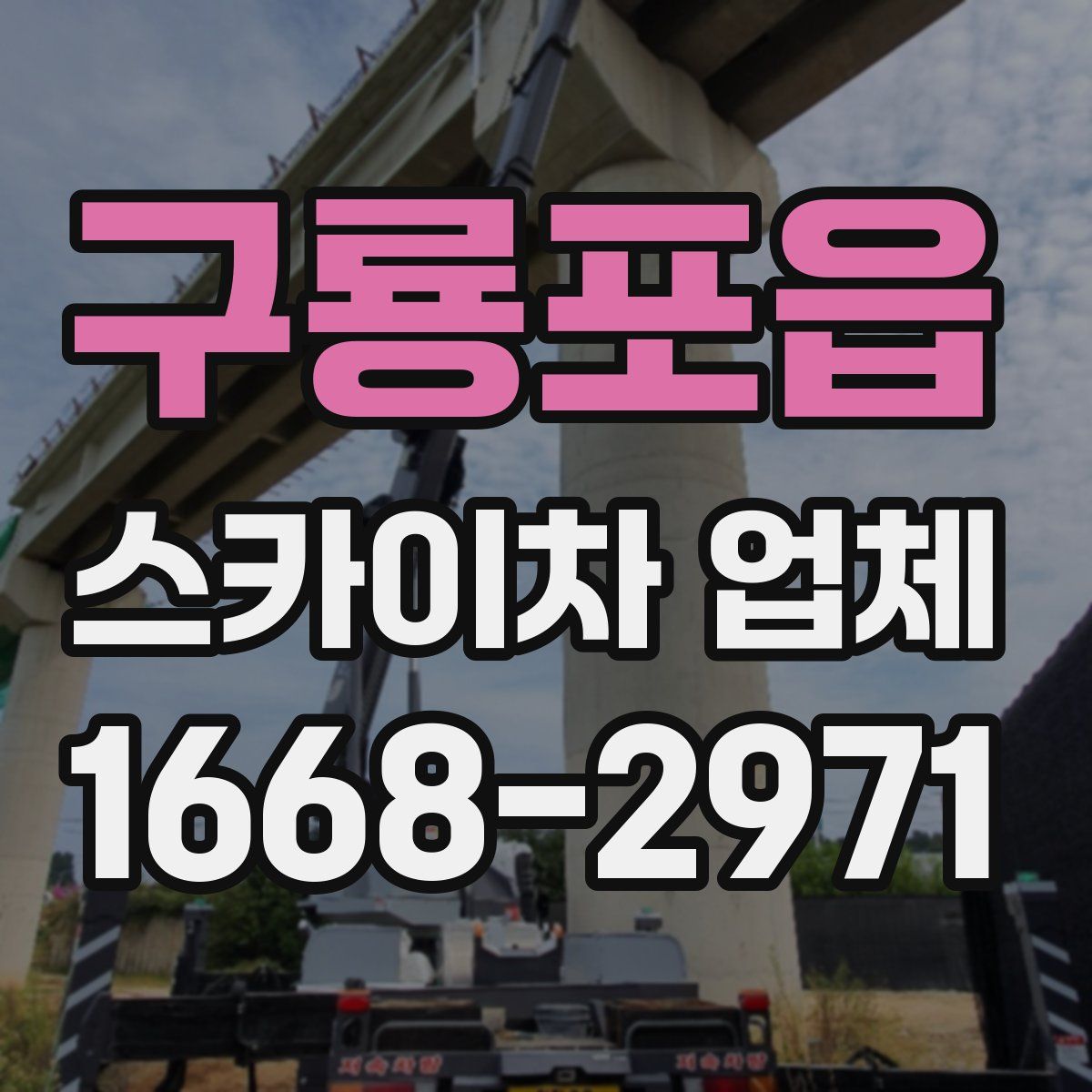 구룡포읍 스카이차 업체