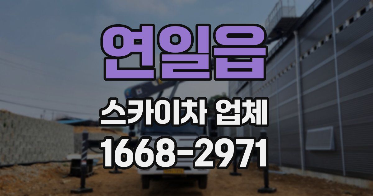연일읍 스카이차 업체