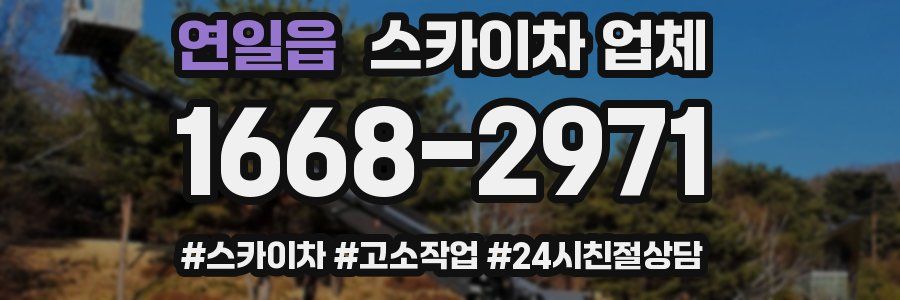연일읍 스카이차 업체