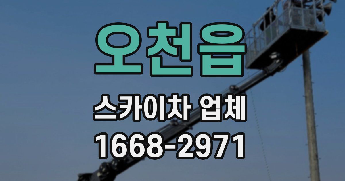오천읍 스카이차 업체