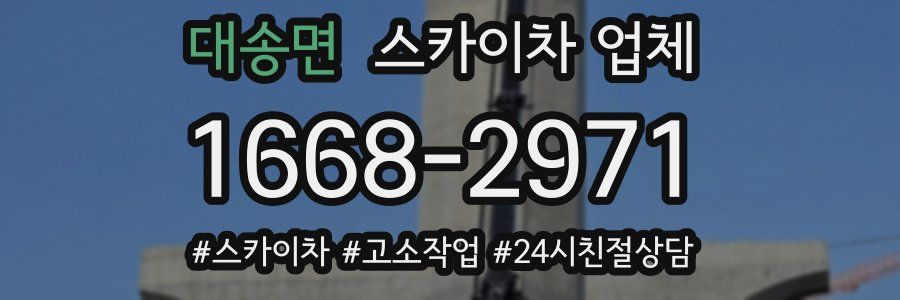 대송면 스카이차 업체