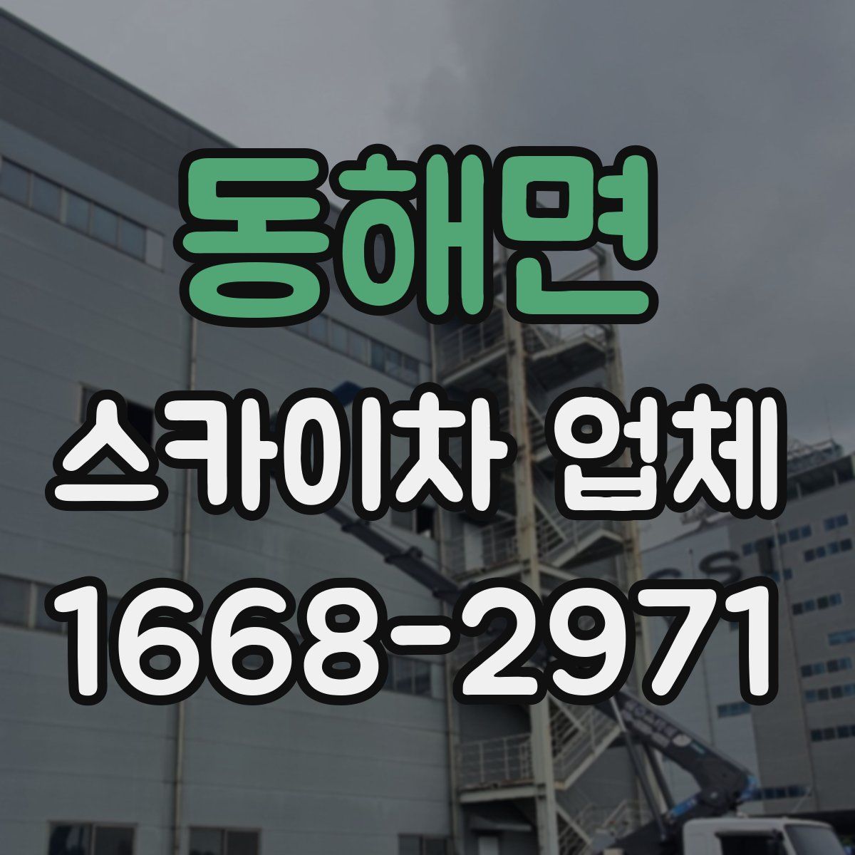 동해면 스카이차 업체