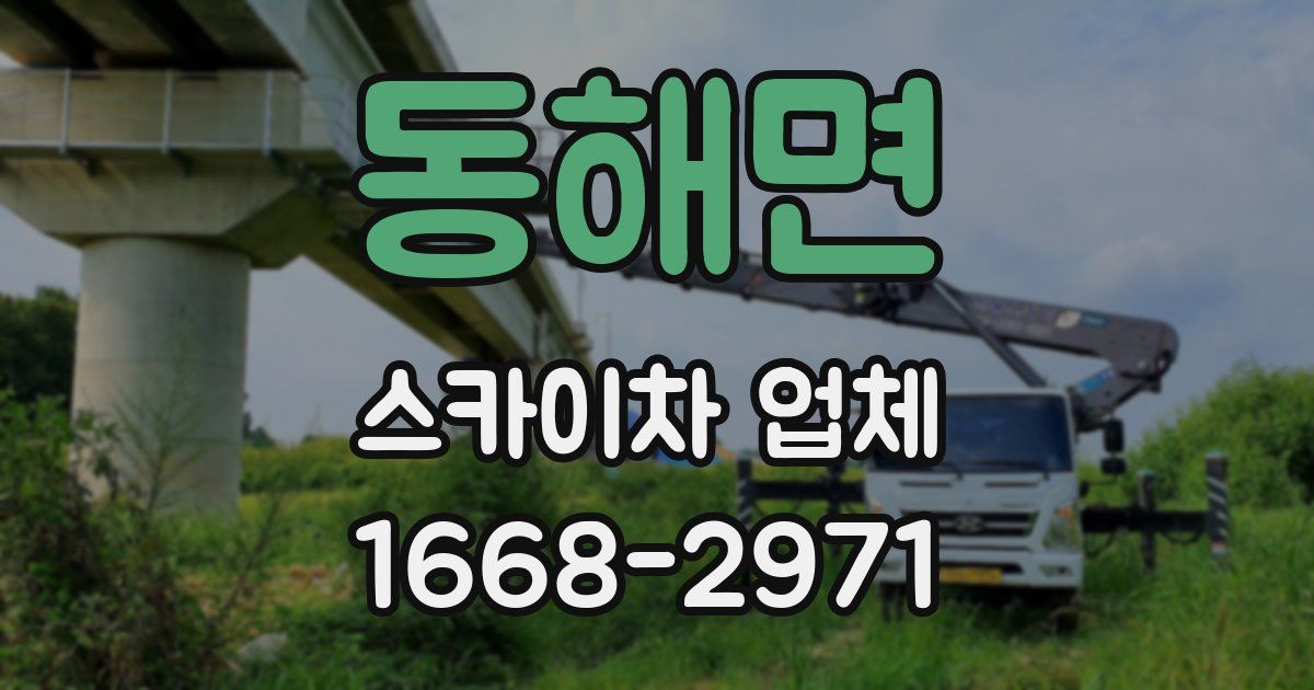동해면 스카이차 업체