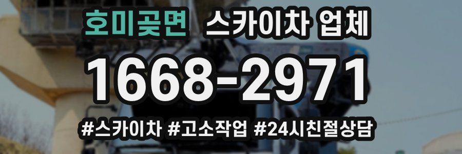 호미곶면 스카이차 업체
