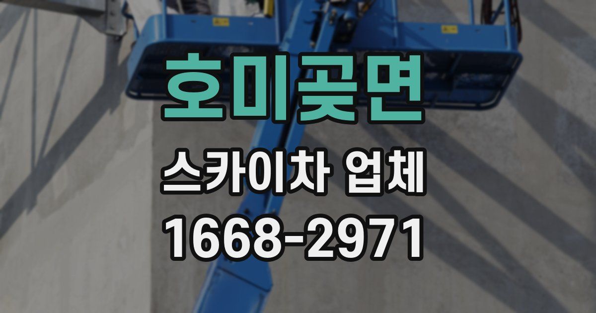 호미곶면 스카이차 업체