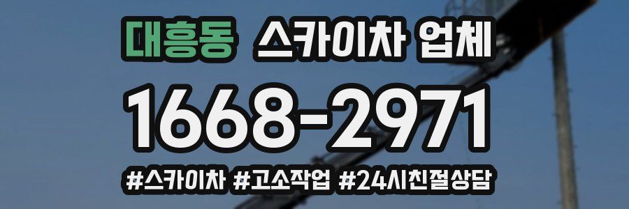 대흥동 스카이차 업체