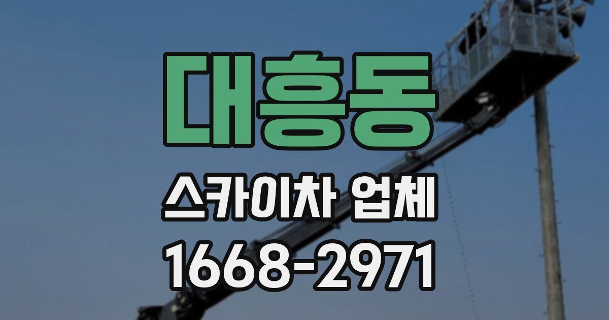 대흥동 스카이차 업체