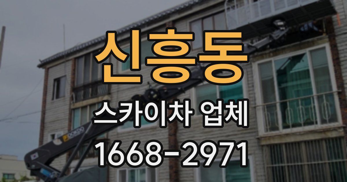 신흥동 스카이차 업체