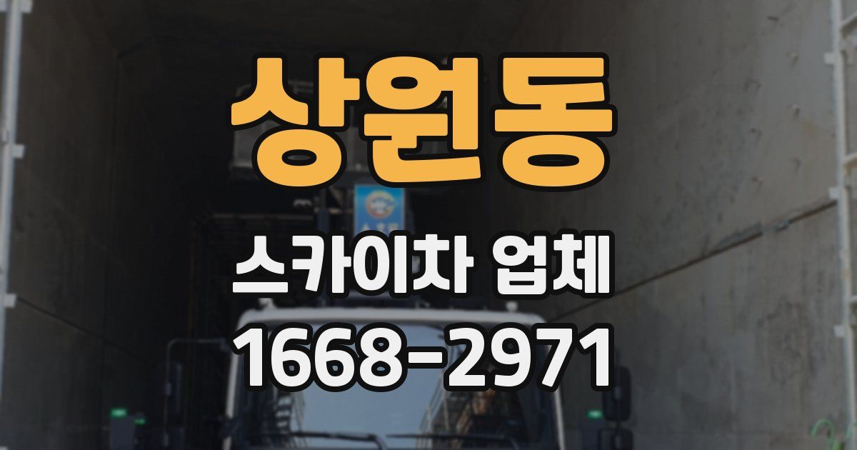 상원동 스카이차 업체