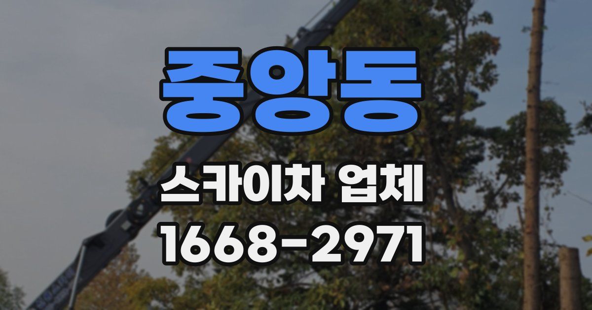 중앙동 스카이차 업체