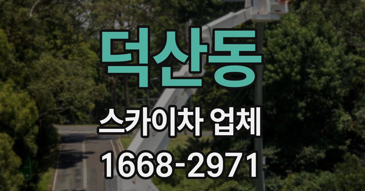 덕산동 스카이차 업체