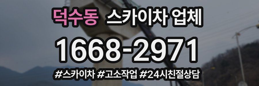 덕수동 스카이차 업체