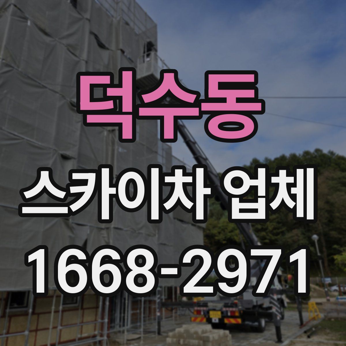 덕수동 스카이차 업체