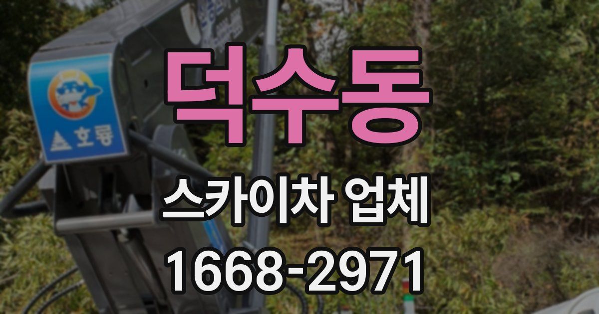 덕수동 스카이차 업체