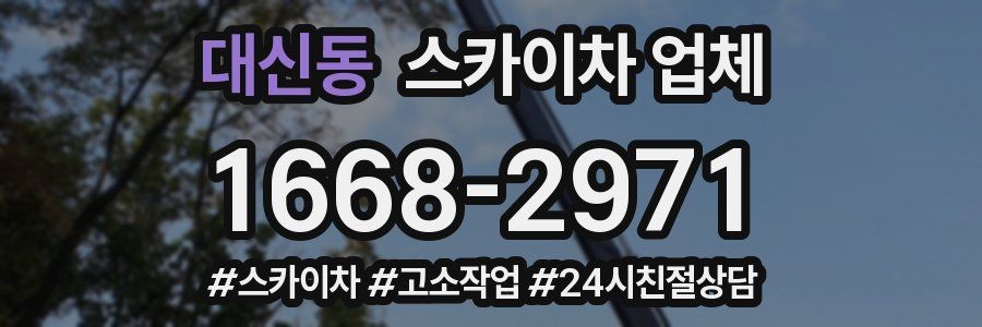 대신동 스카이차 업체
