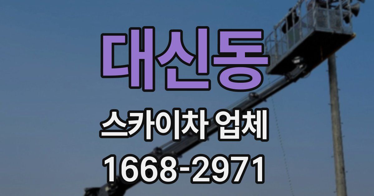 대신동 스카이차 업체