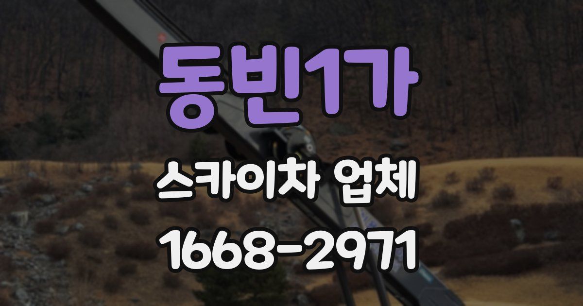 동빈1가 스카이차 업체