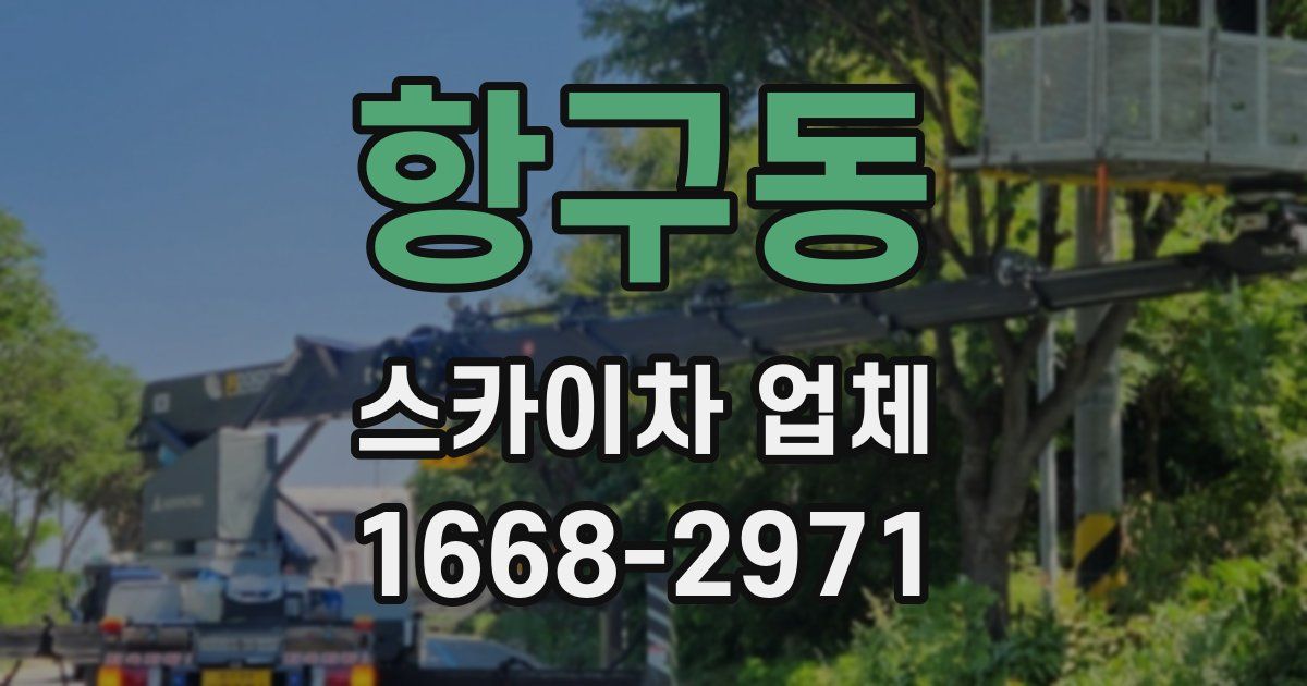 항구동 스카이차 업체