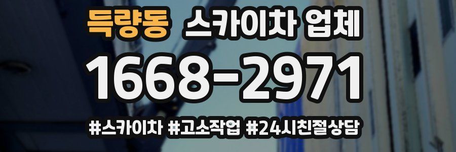 득량동 스카이차 업체