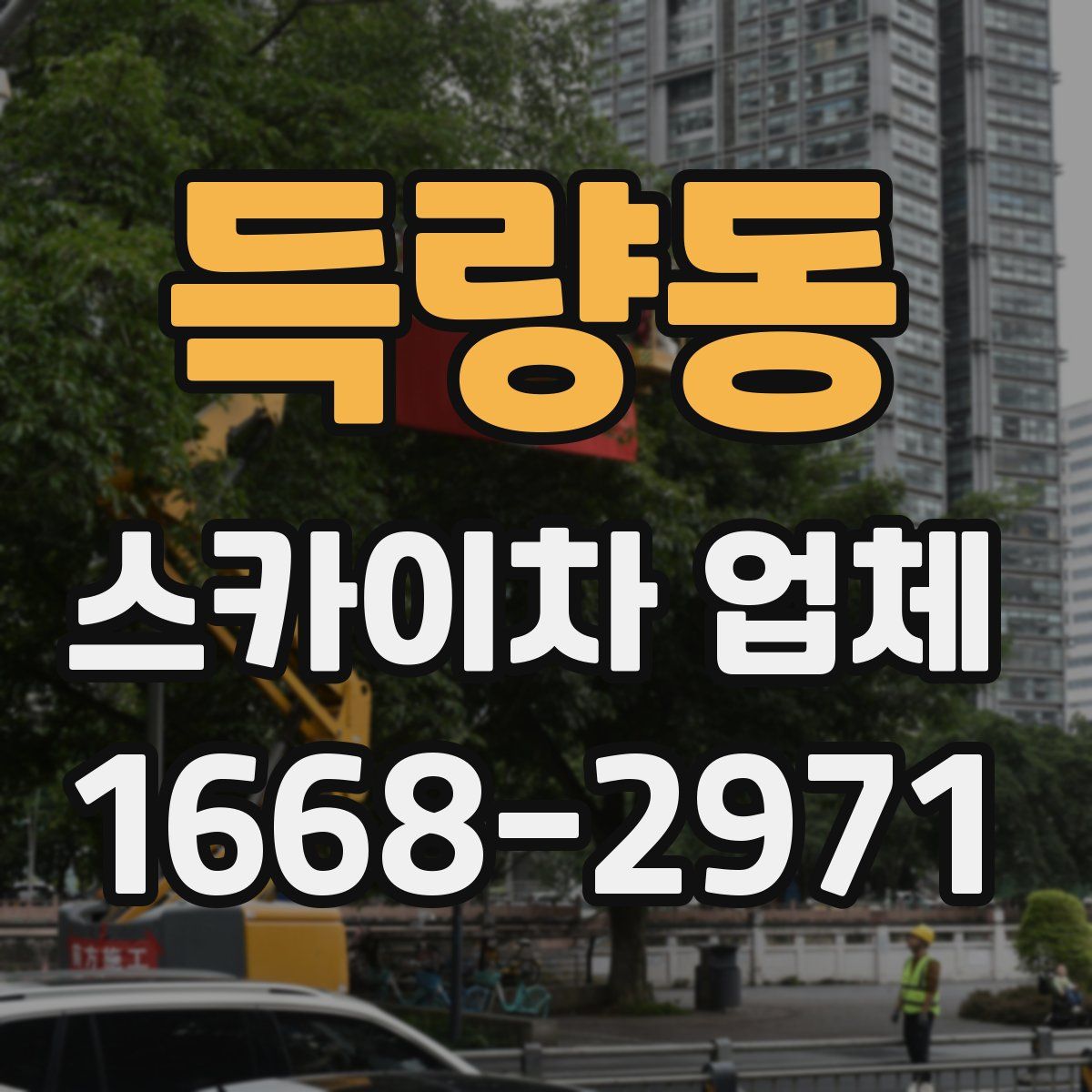 득량동 스카이차 업체