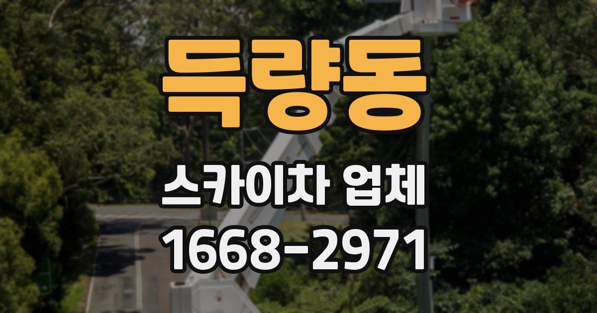 득량동 스카이차 업체