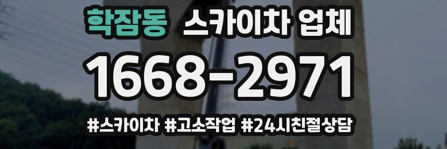 학잠동 스카이차 업체