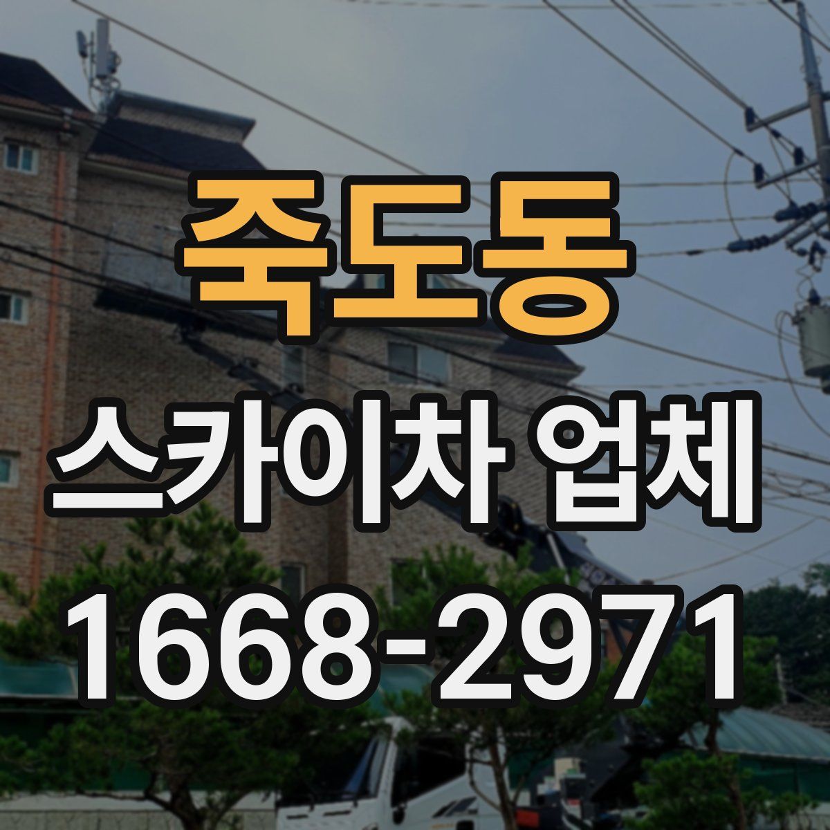 죽도동 스카이차 업체