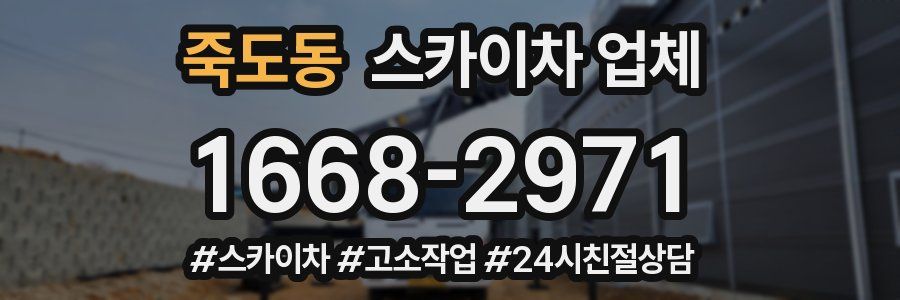 죽도동 스카이차 업체