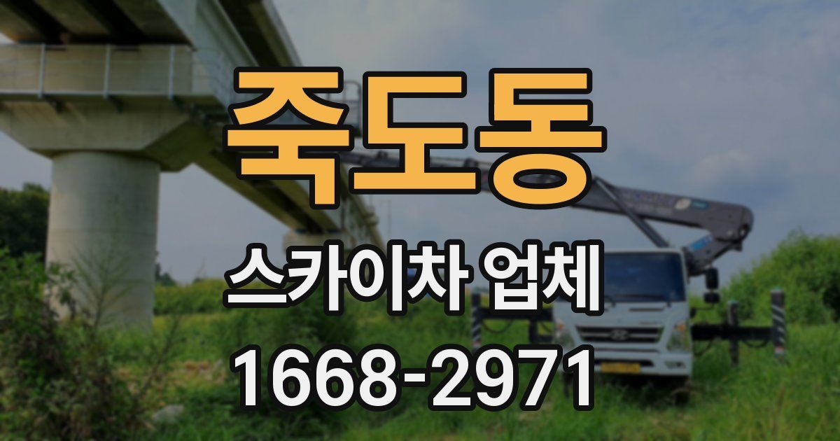 죽도동 스카이차 업체
