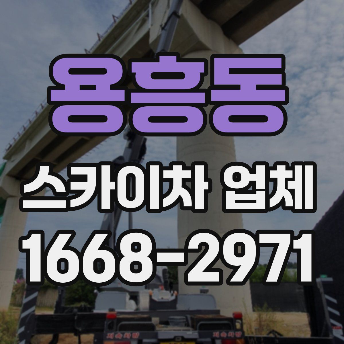 용흥동 스카이차 업체