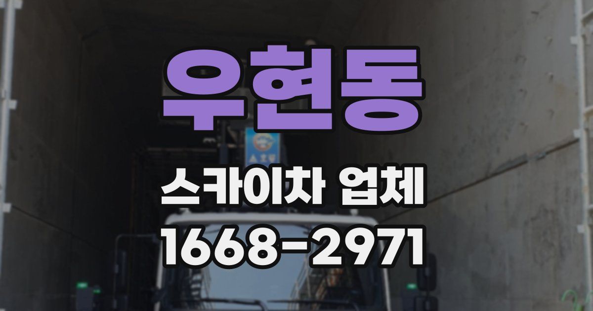 우현동 스카이차 업체