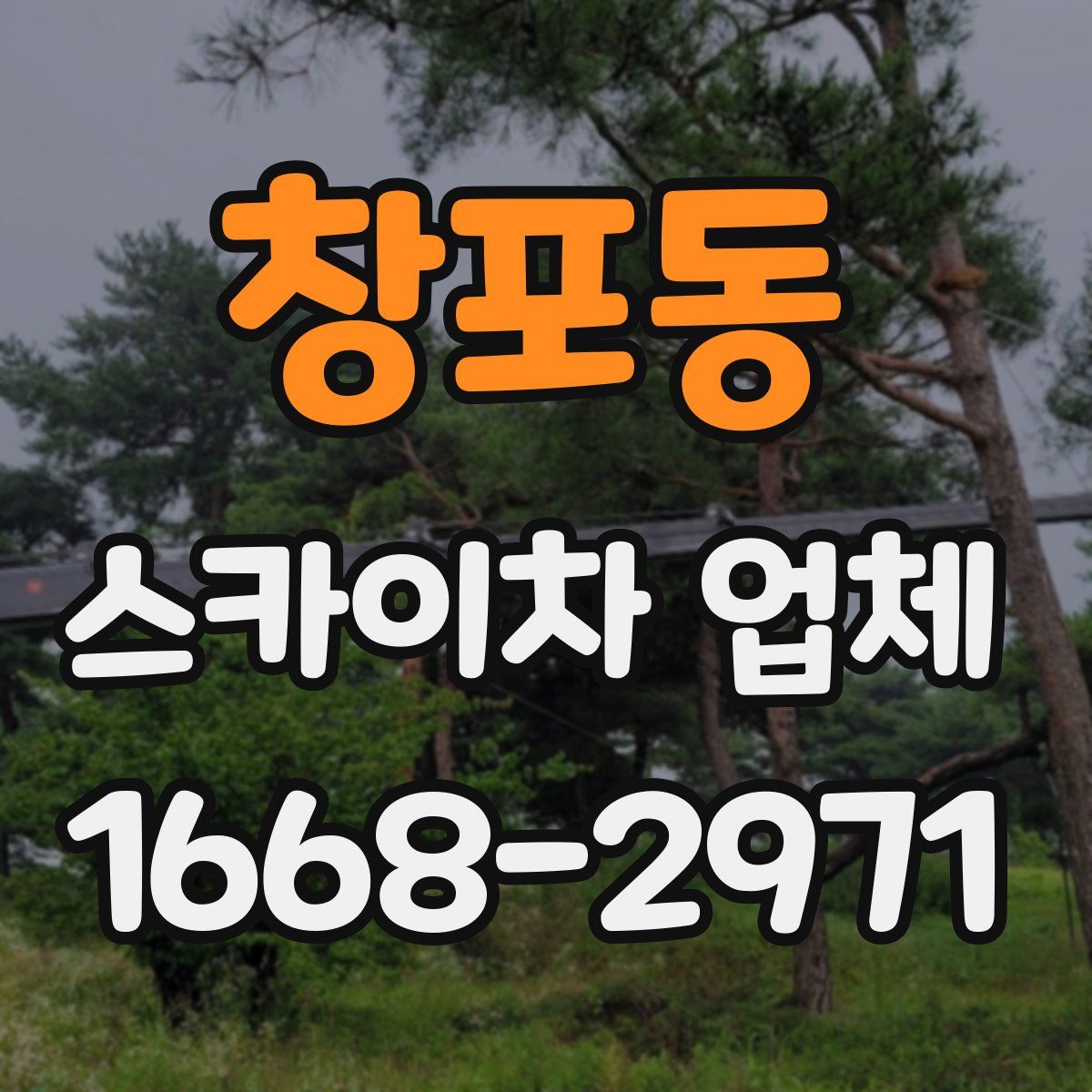 창포동 스카이차 업체