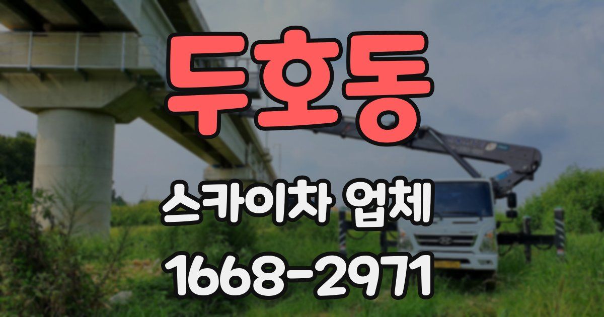 두호동 스카이차 업체