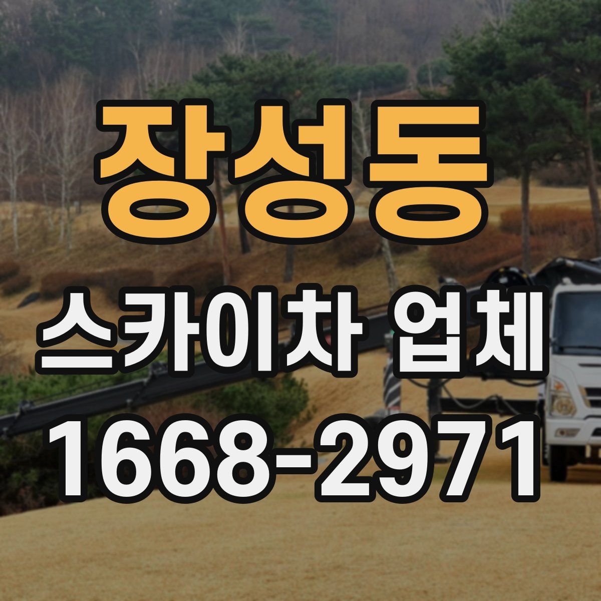 장성동 스카이차 업체
