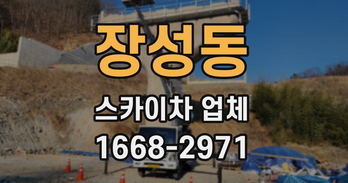 장성동 스카이차 업체