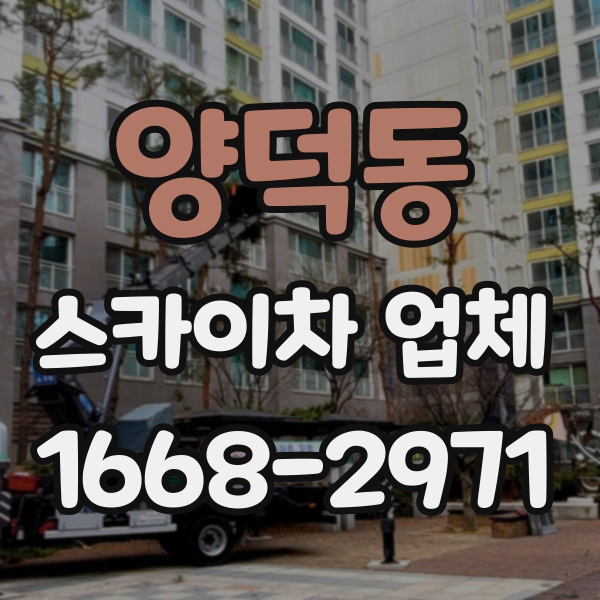 양덕동 스카이차 업체