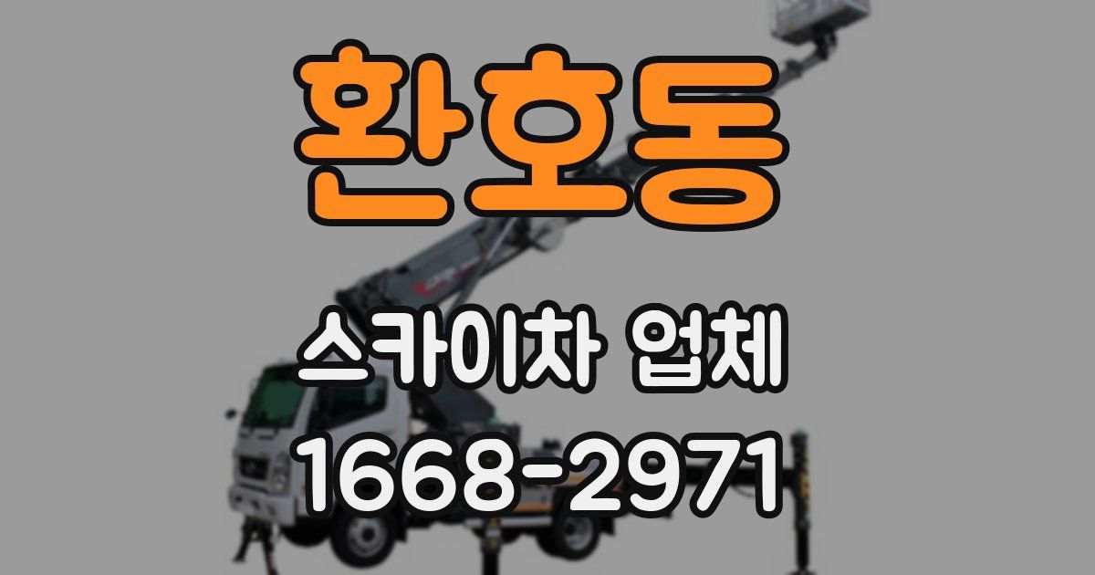 환호동 스카이차 업체