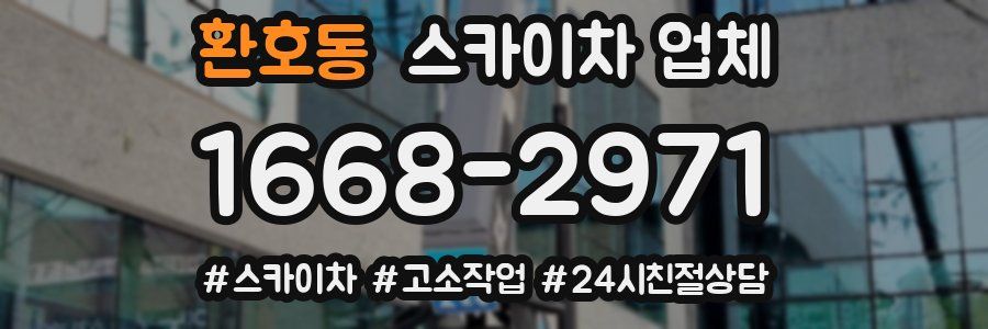 환호동 스카이차 업체