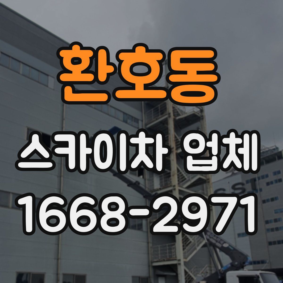 환호동 스카이차 업체