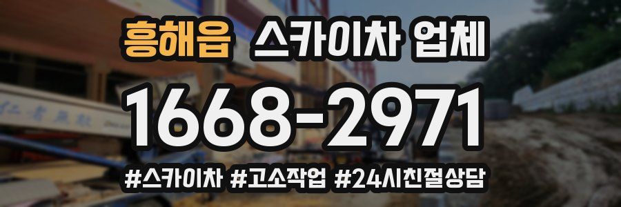 흥해읍 스카이차 업체