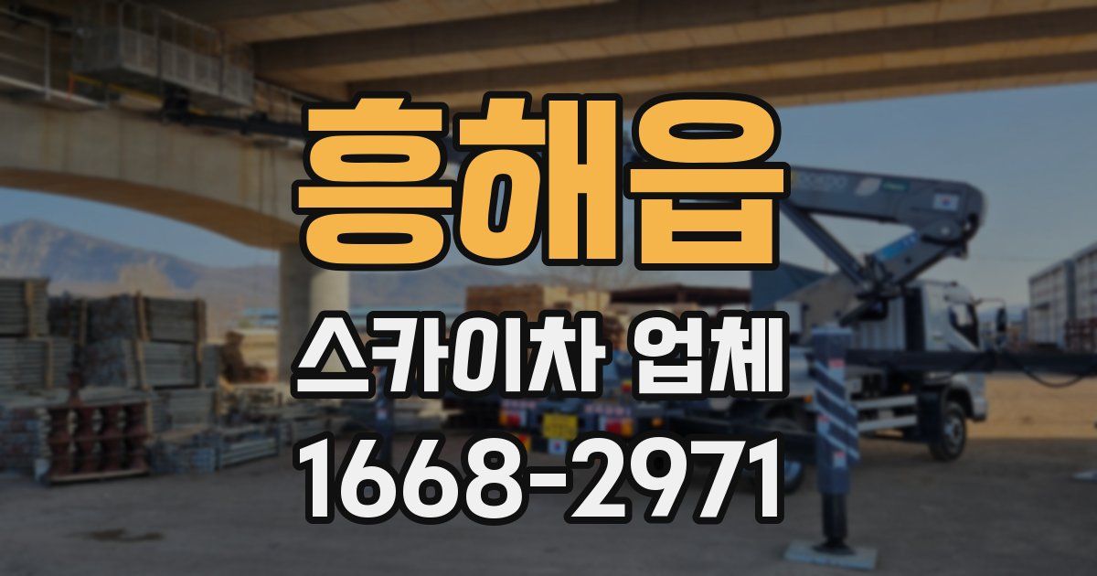 흥해읍 스카이차 업체