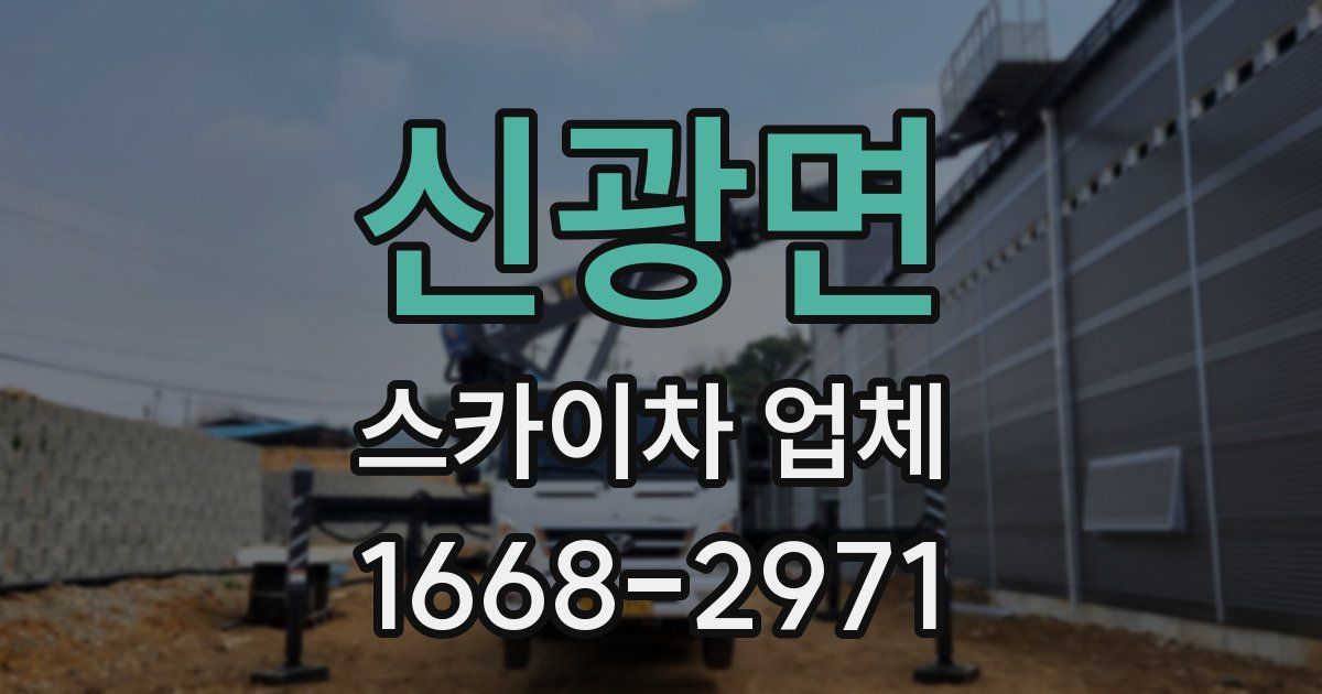 신광면 스카이차 업체