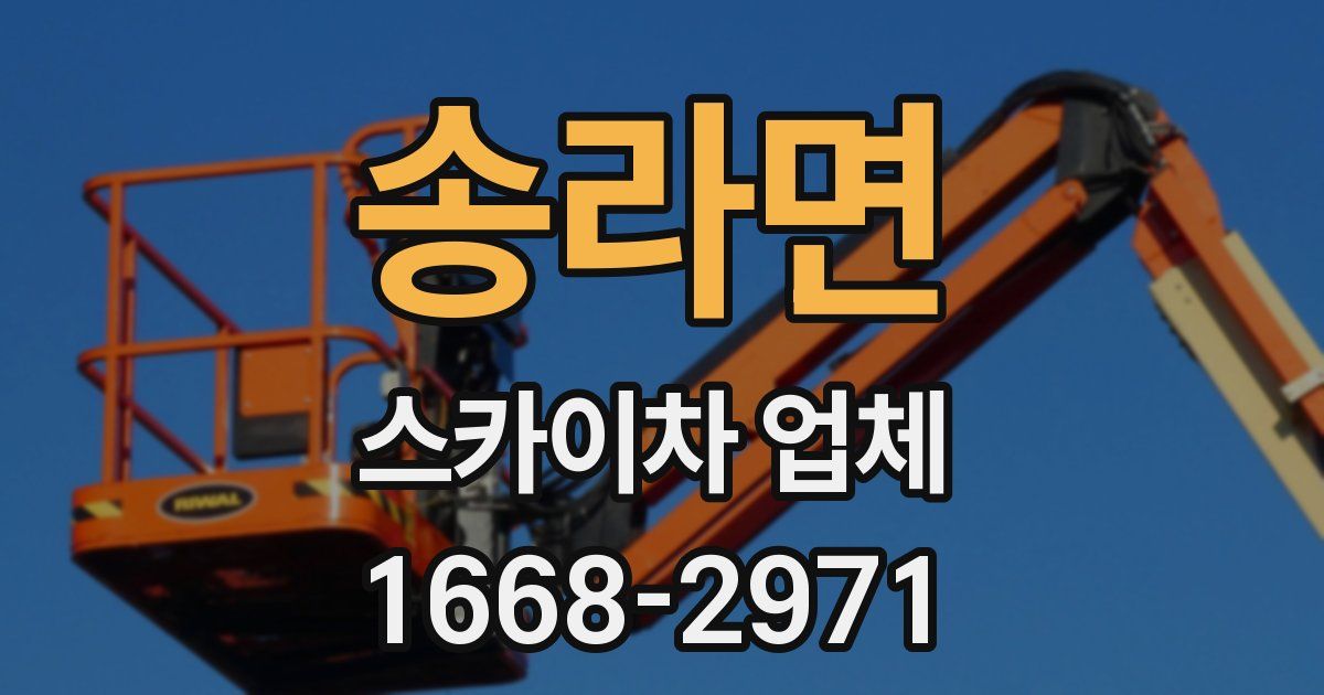 송라면 스카이차 업체