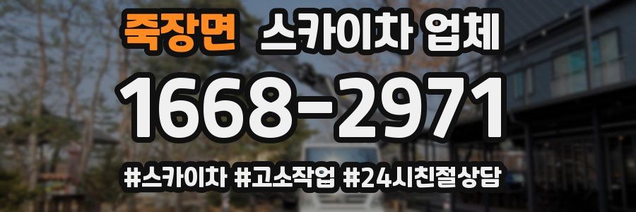 죽장면 스카이차 업체