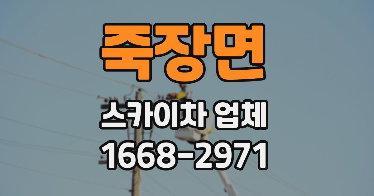 죽장면 스카이차 업체