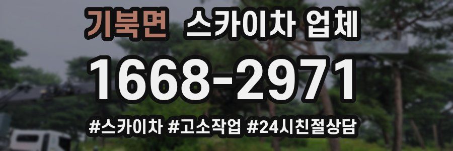 기북면 스카이차 업체